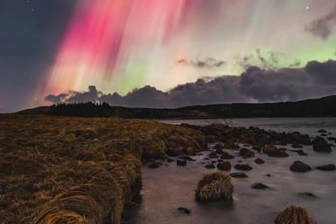 Reykjavik Northern Lights Chase Private Tour with Hot Chocolate