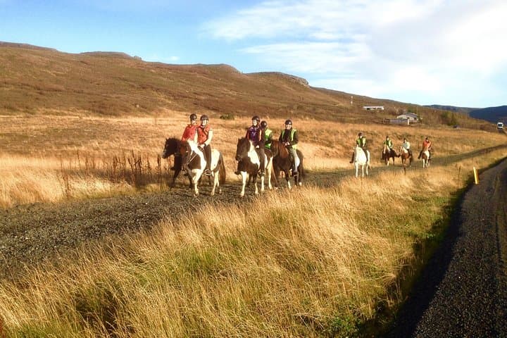 Our sunset tours are amazing