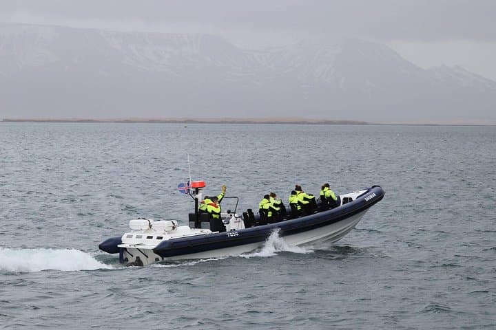 RIB Express Boat - Whale Watching