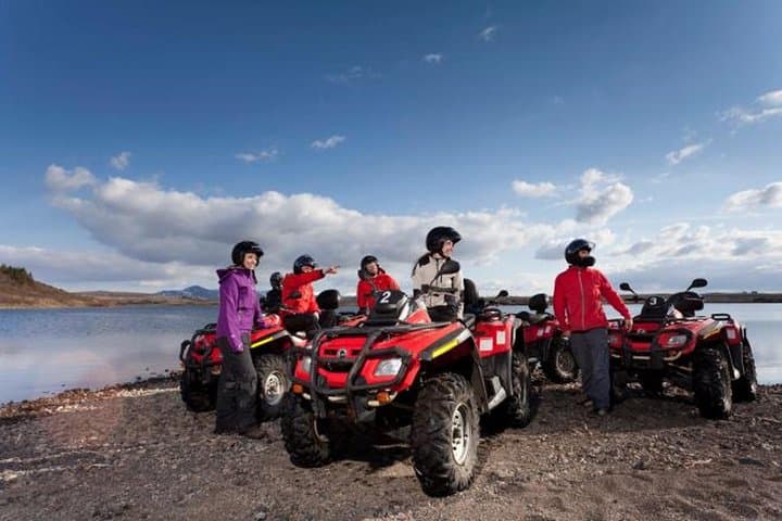 Whale Watching and Quad Biking from Reykjavik