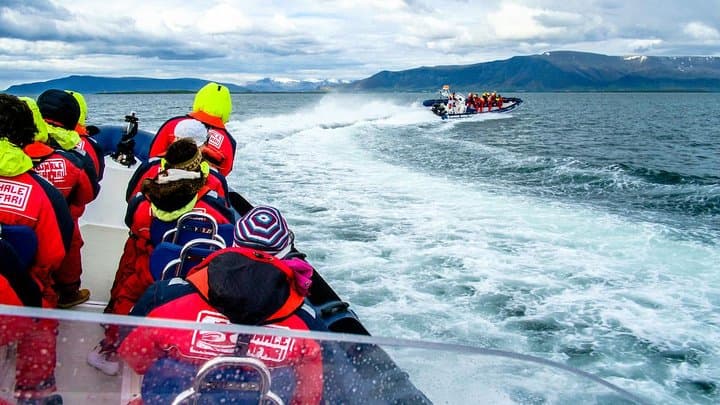 RIB's on their way to the Puffins