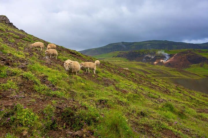 Private Jeep Tour - Game of Thrones experience