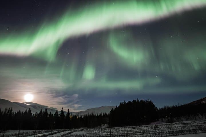 NorthernLights in Eyjafjordur