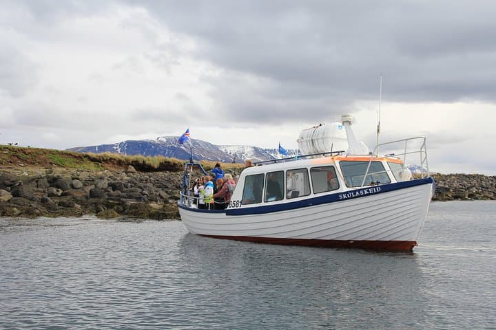 Puffin Cruise with Expert Tour Guide from Reykjavik