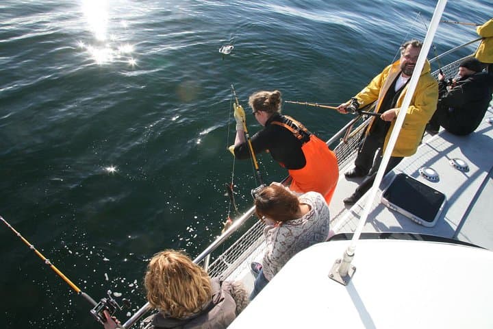 Reykjavik Sea Angling Gourmet