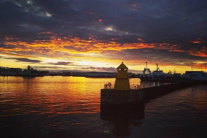 Midnight Sun Whale & Puffin watching from Reykjavik