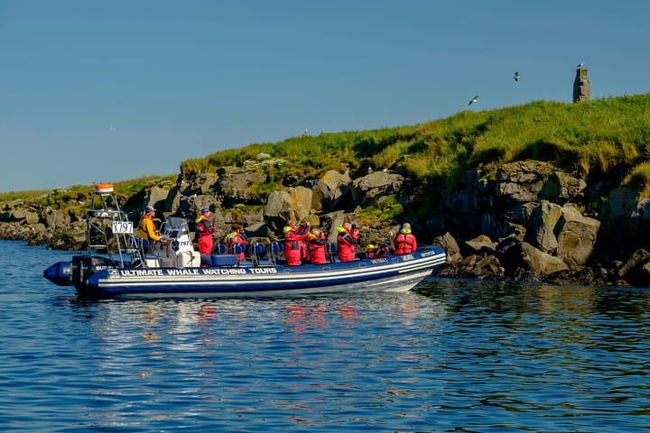 Our small and manoeuvrable boats get you extra close