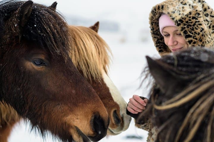 Deacon Horse Riding Tour