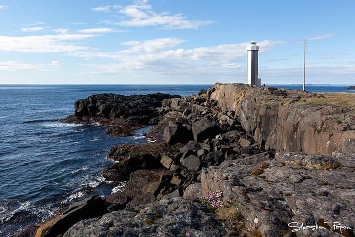 Private Tour from Djupivogur - The Eastfjord