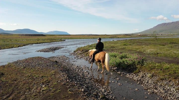 Private 3-Hour Horseback Riding Tour