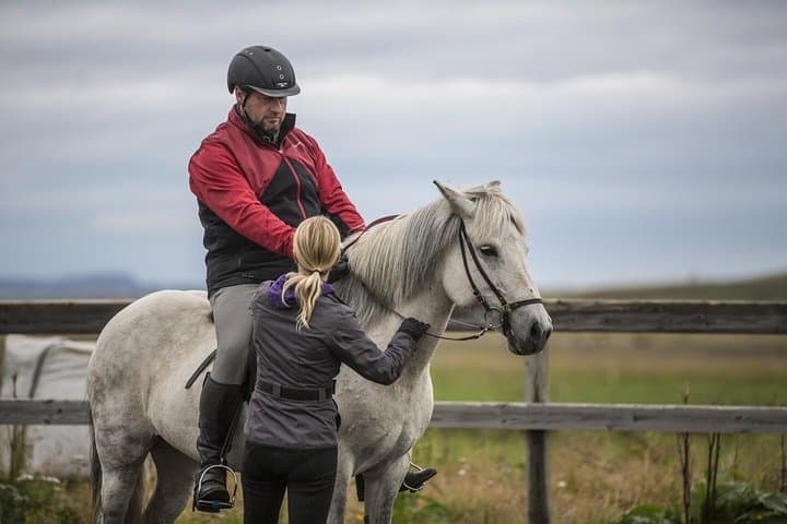 Exclusive Riding Program for Advanced Horse Riders - Give Me 5! - 2 to 3 hours