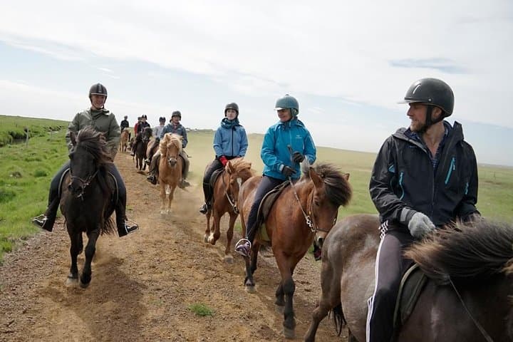 The Siggi Tour from Reykjavík: 1.5 to 2-Hour Ride