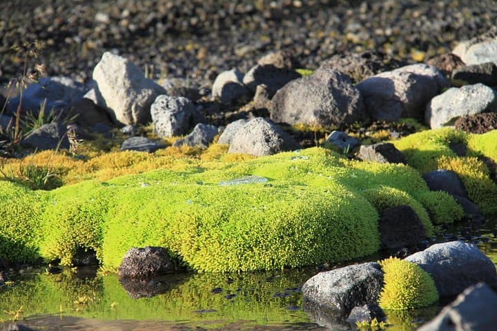 Highlights of Iceland / private guided super Jeep tour