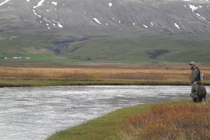 Private Fishing Tour from Reykjavik - Arctic Char and Brown Trout