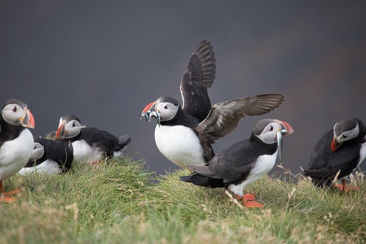 South Coast / guided private tour