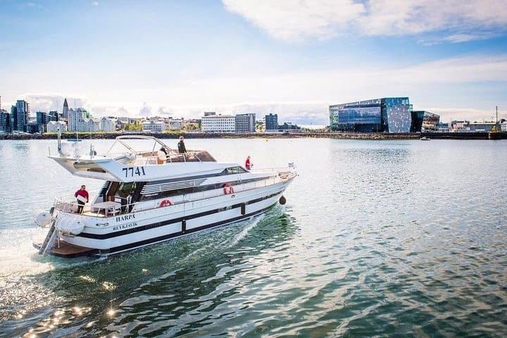 Whale Watching & Dolphin Yacht Cruise