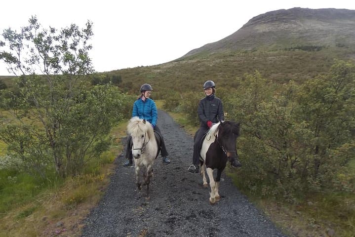 1+ hour Private Horse riding tour from Reykjavík/Mosfellsbær