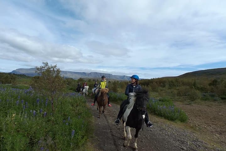 1+ hour Private Horse riding tour from Reykjavík/Mosfellsbær