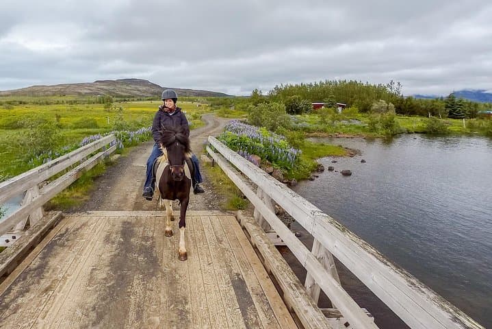 2 hours Private Horse Riding to Lake Hafravatn, Reykjavík - Mos