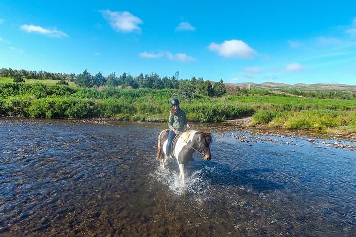 3 hour Private Horse Riding Tour in Mosfellsdalur