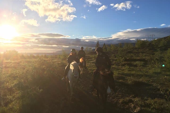 3 hour Private Horse Riding Tour in Mosfellsdalur