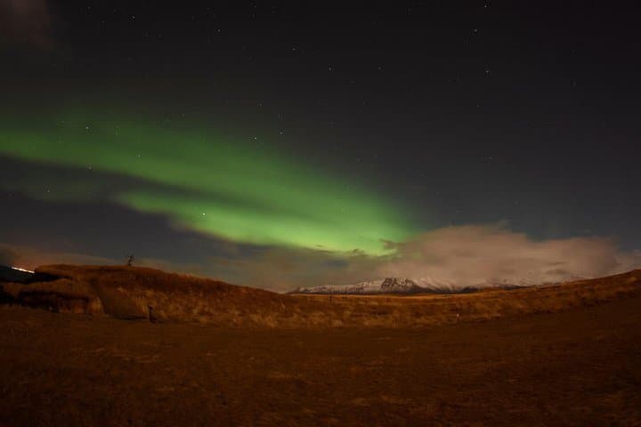 Winter Whale Watching and Northern Lights Cruise from Reykjavik