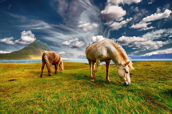 3-Day Private tour of Iceland with Langjokull glacier