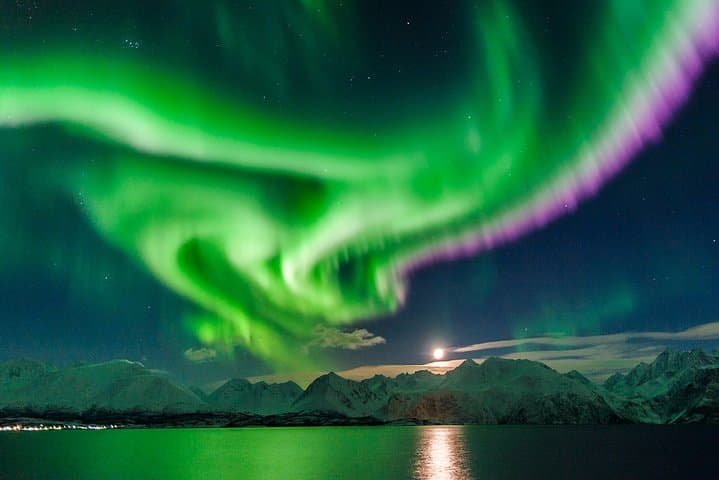 Hunting for Reykjavik Northern lights Private Tour