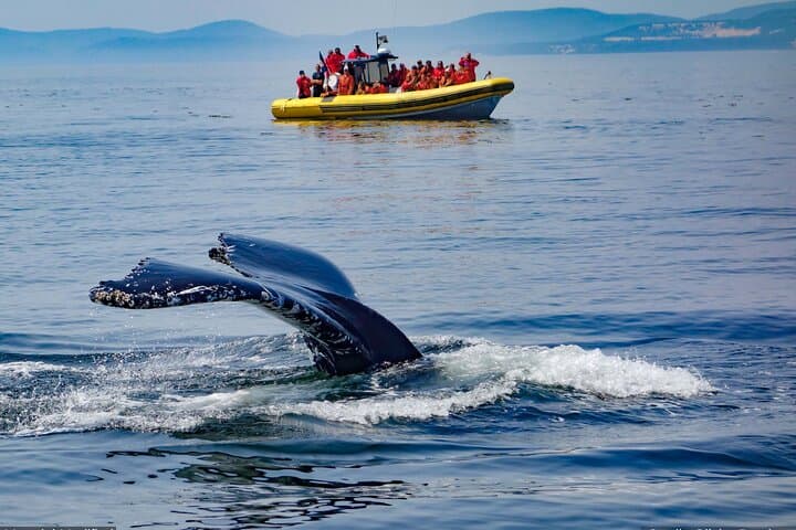 Iceland: See & Experience it ALL in 9 Days, 1st Class Custom Tours