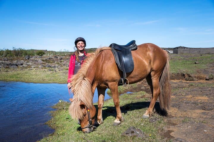 Icelandic Horse Riding and Whale Watching Tour from Reykjavik