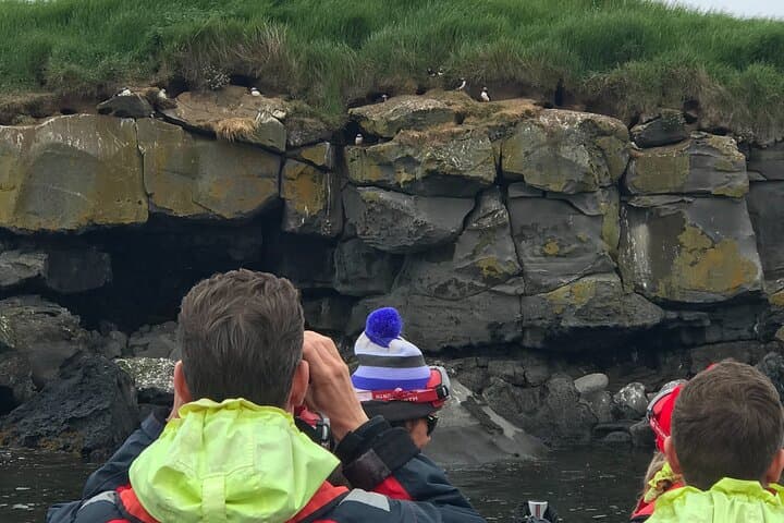 Puffin Watching Speedboat Express