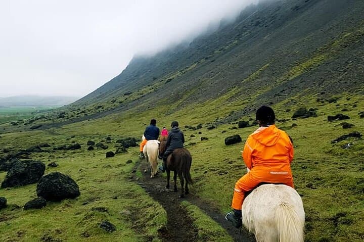 Horse Riding Tour in Reykjadalur (Smoky Valley)-All Riding Levels