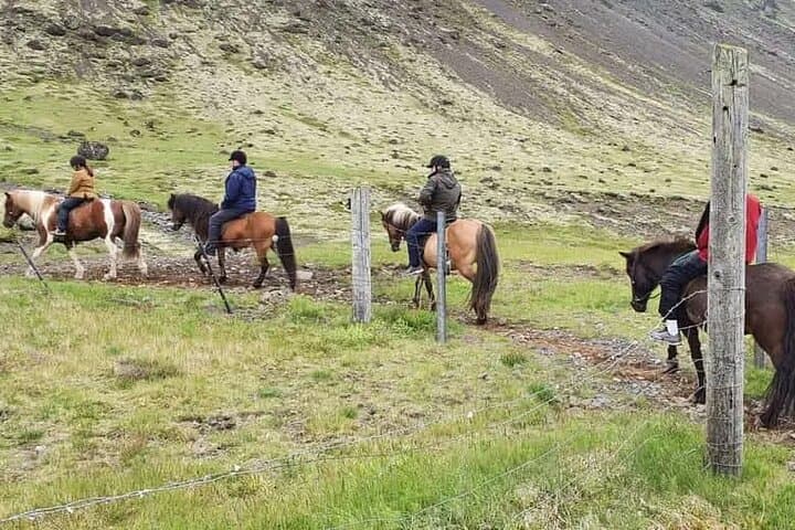 Horse Riding Tour in Reykjadalur (Smoky Valley)-All Riding Levels