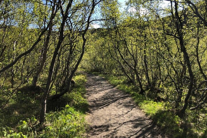Ásbyrgi canyon