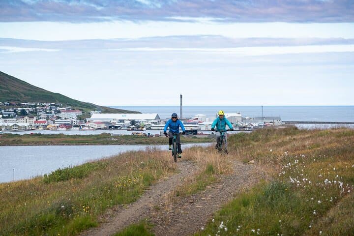 Electric Mountain biking tour in North Iceland