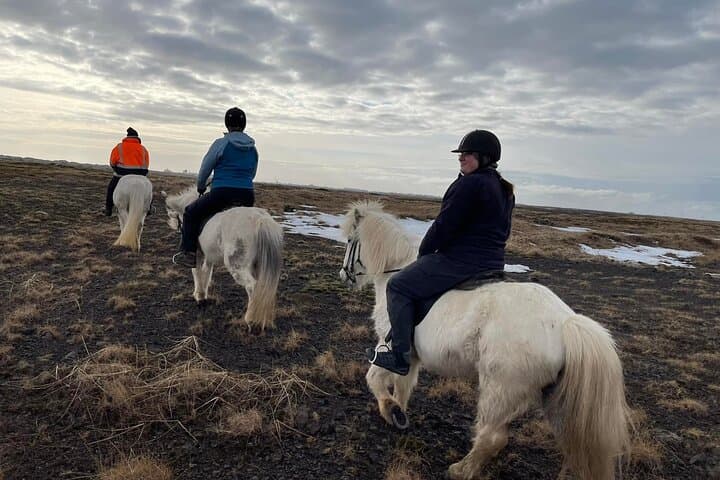 Family Horse Riding Tour in Thorlakshofn