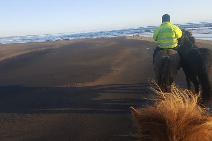 Family Horse Riding Tour in Thorlakshofn