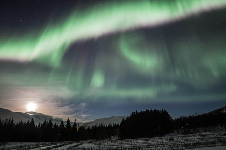 Northern lights and moon on the horizon with green and a hint of pink