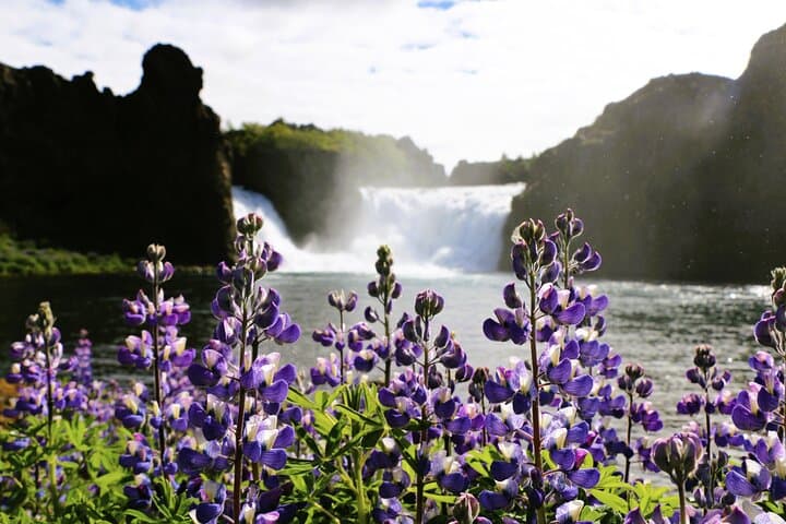 Landmannalaugar Hiking, Haifoss Waterfall and Hot Springs Tour