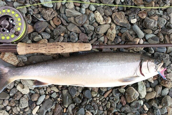 Private Trout and Char Fishing in Icelandic Serenity Experience