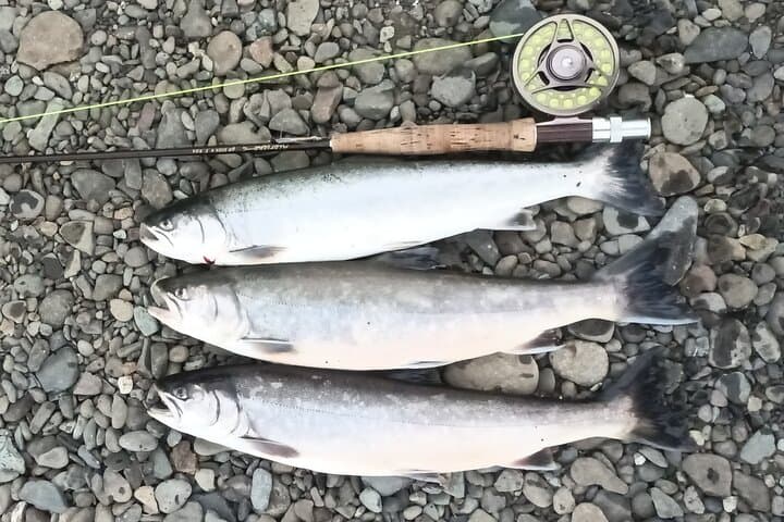 Private Trout and Char Fishing in Icelandic Serenity Experience
