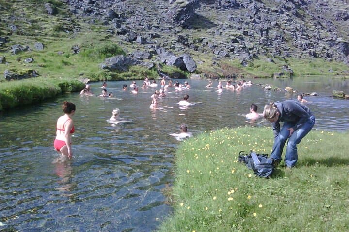 Private Full Day Tour Landmannalaugar with Natural Hot Spring