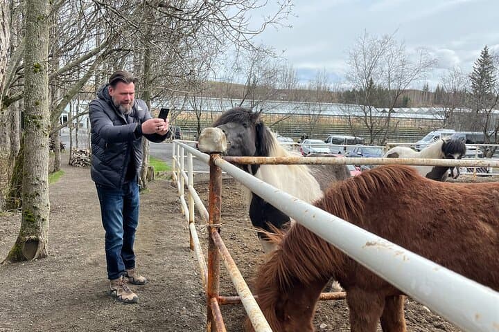 Private Guided Tour Golden Circle & Friðheimar Greenhouse Iceland