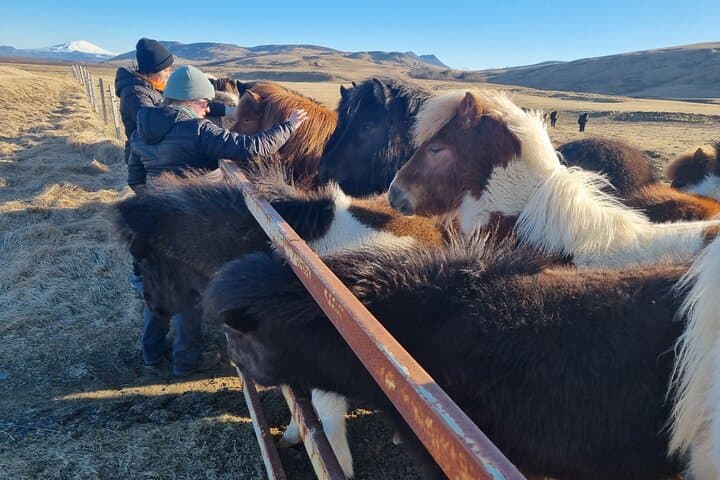 Private Golden Circle Tour Iceland Layover Experience