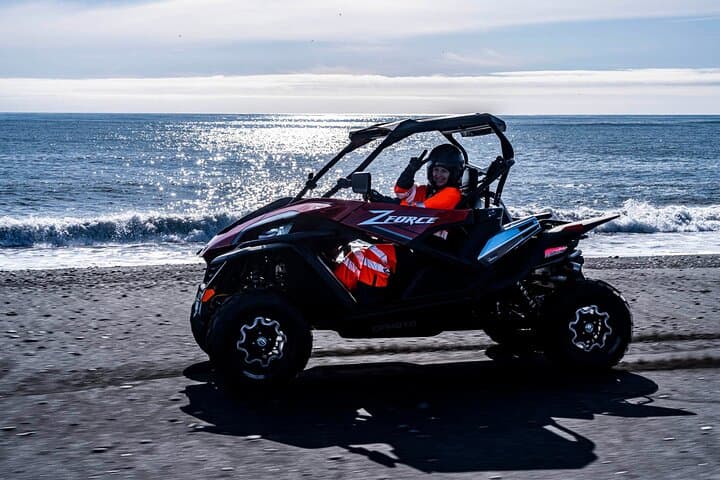Private South Coast and Black Beach Buggy Tour