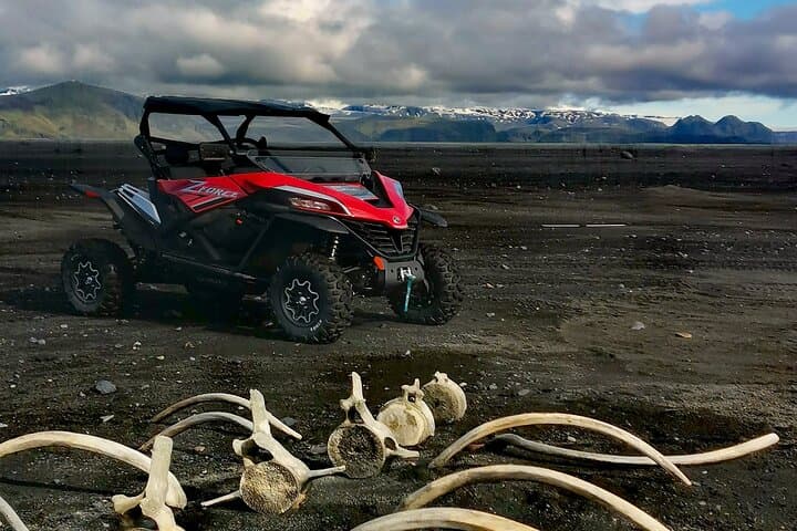 Private South Coast and Black Beach Buggy Tour