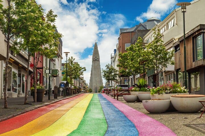 Our expert Guides will show you the best locations in Reykjavik during our Private 3 hour Reykjavik Driving Tour