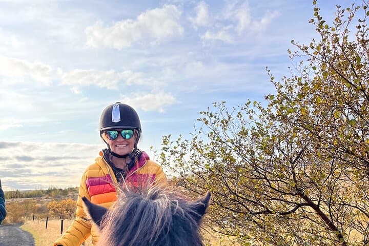 1+ hour Private Horse riding tour from Reykjavík/Mosfellsbær