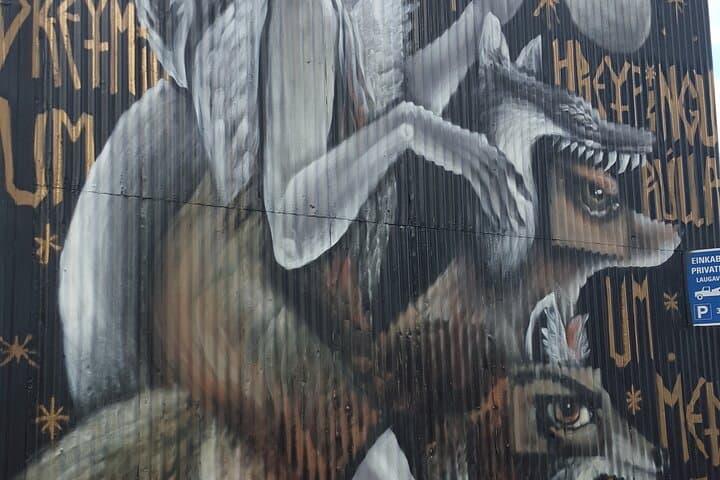 Private Reykjavik Street Art Walking Tour - The Instagram Tour