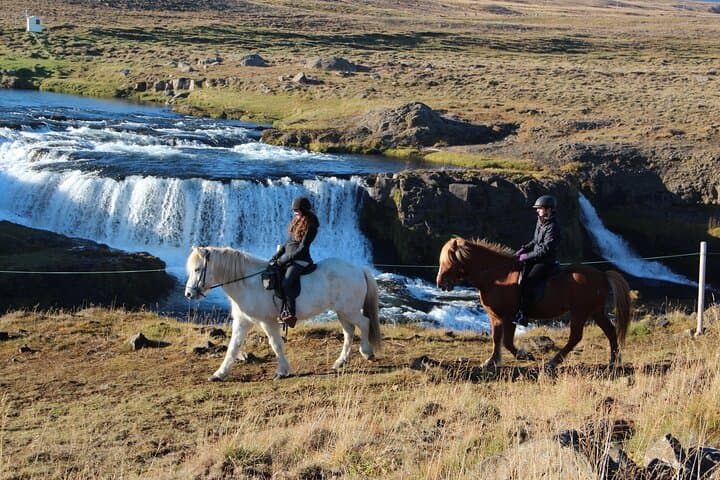 The Viking Horse Riding Experience in North Iceland